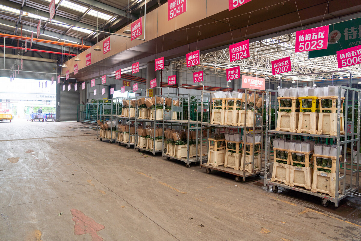 智慧物流倉儲可視化，讓我們和低效率說拜拜