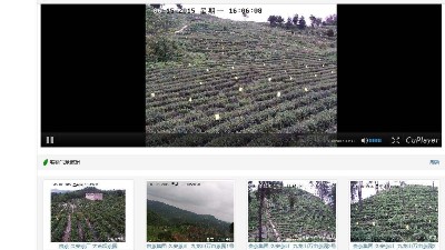 安裝養(yǎng)殖場監(jiān)控系統(tǒng)，智能調控運營成本